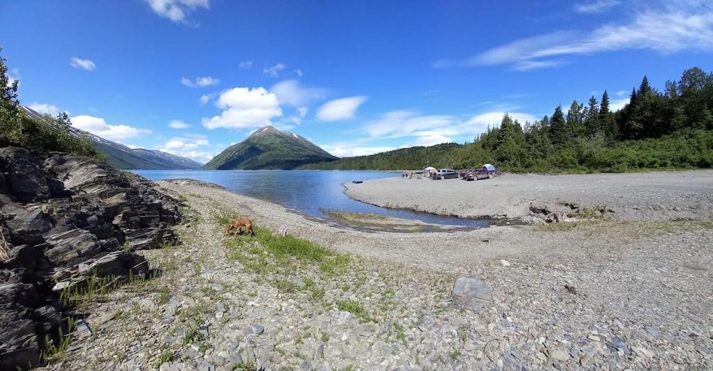 Oyster Lady Homer, Ak Экстерьер фото