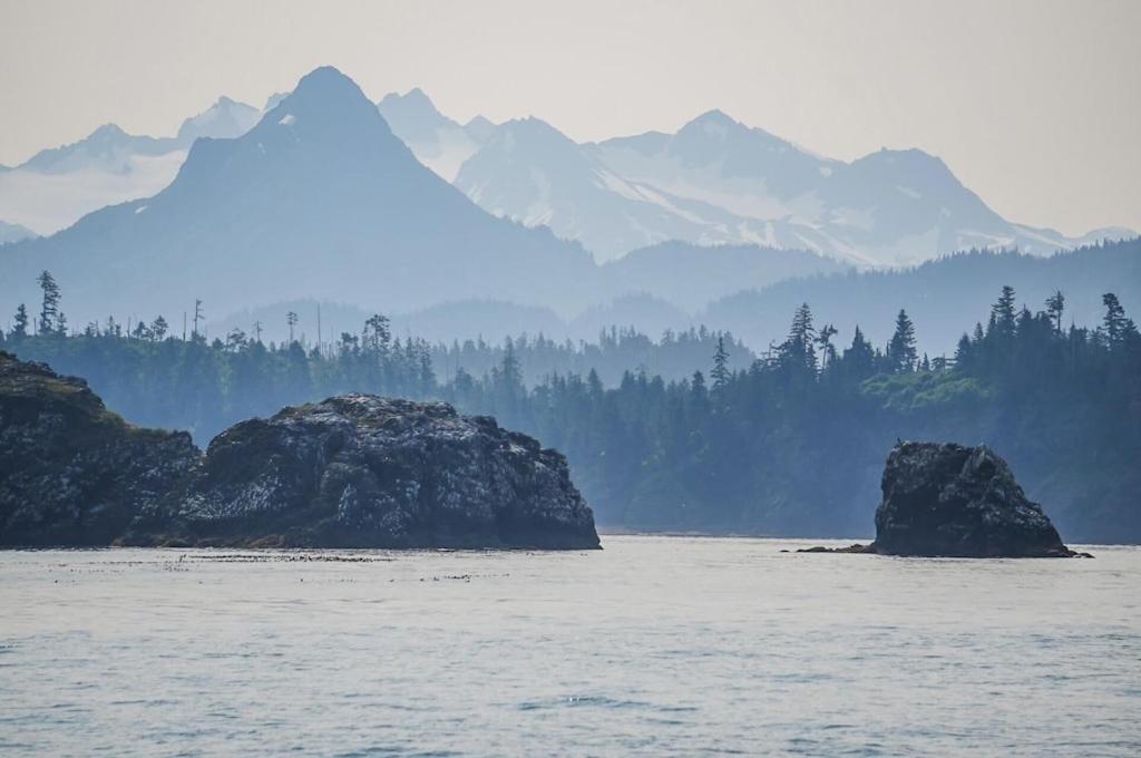 Oyster Lady Homer, Ak Экстерьер фото